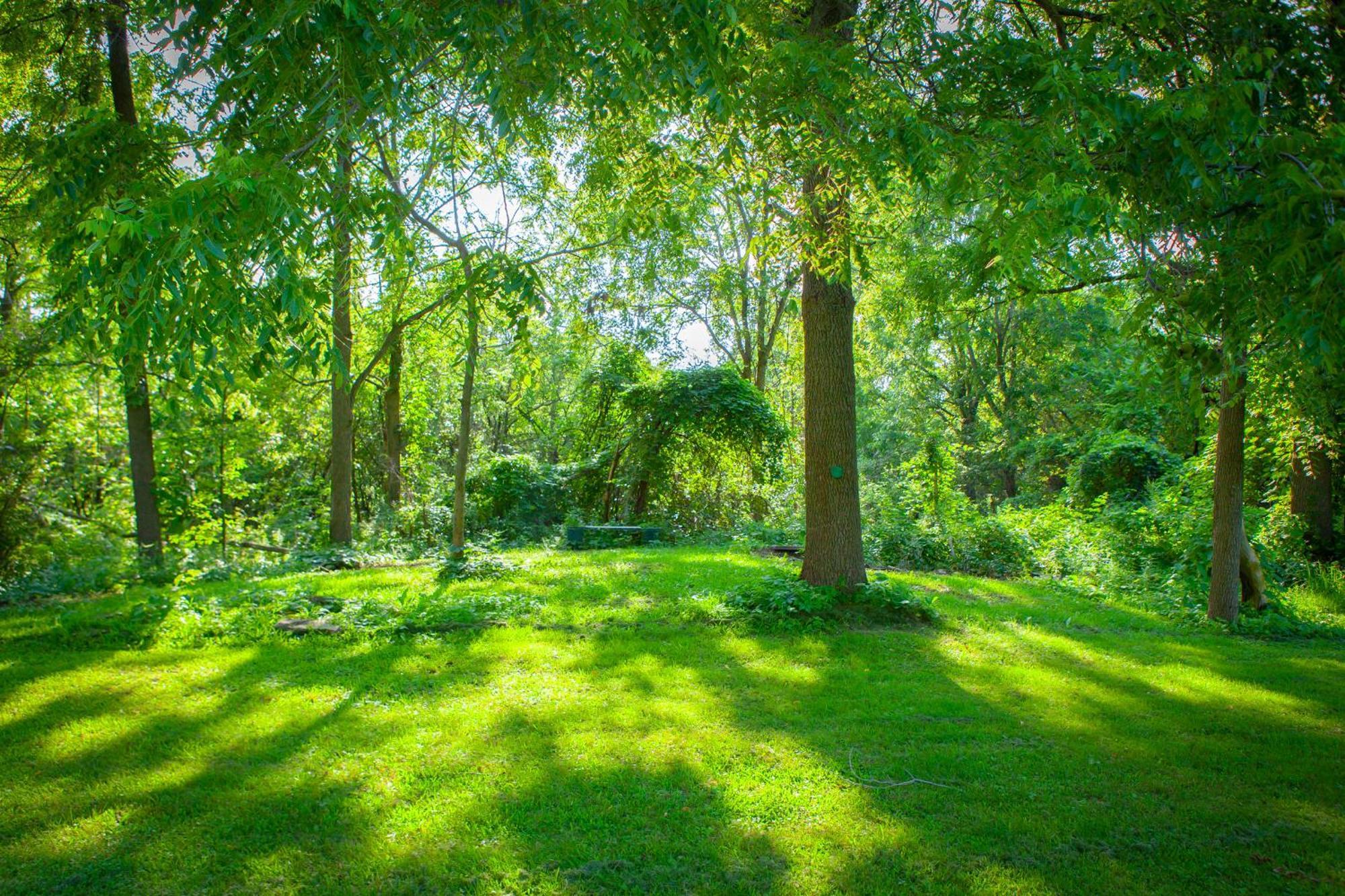Nature Oasis Bar Room Dundas Zewnętrze zdjęcie